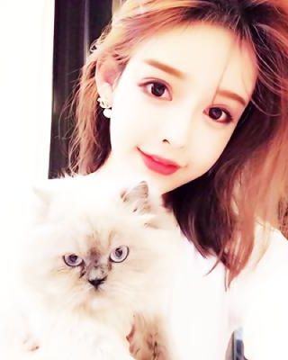 《不循（重生）》